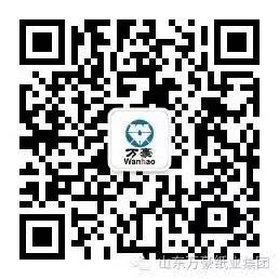 米兰体育·公司在线登入-米兰（中国）
